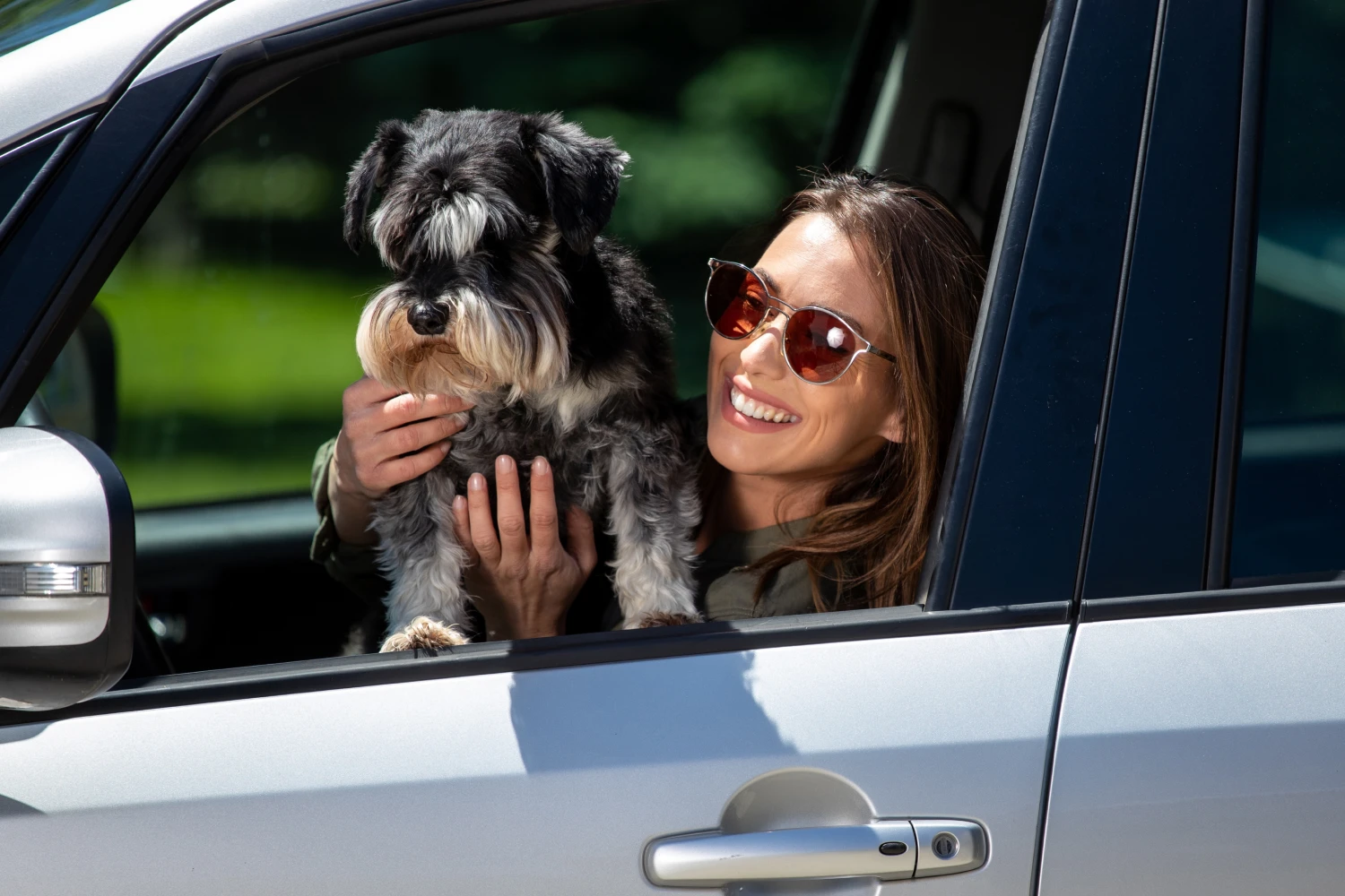 Dog Carrier Purse for Miniature Schnauzer