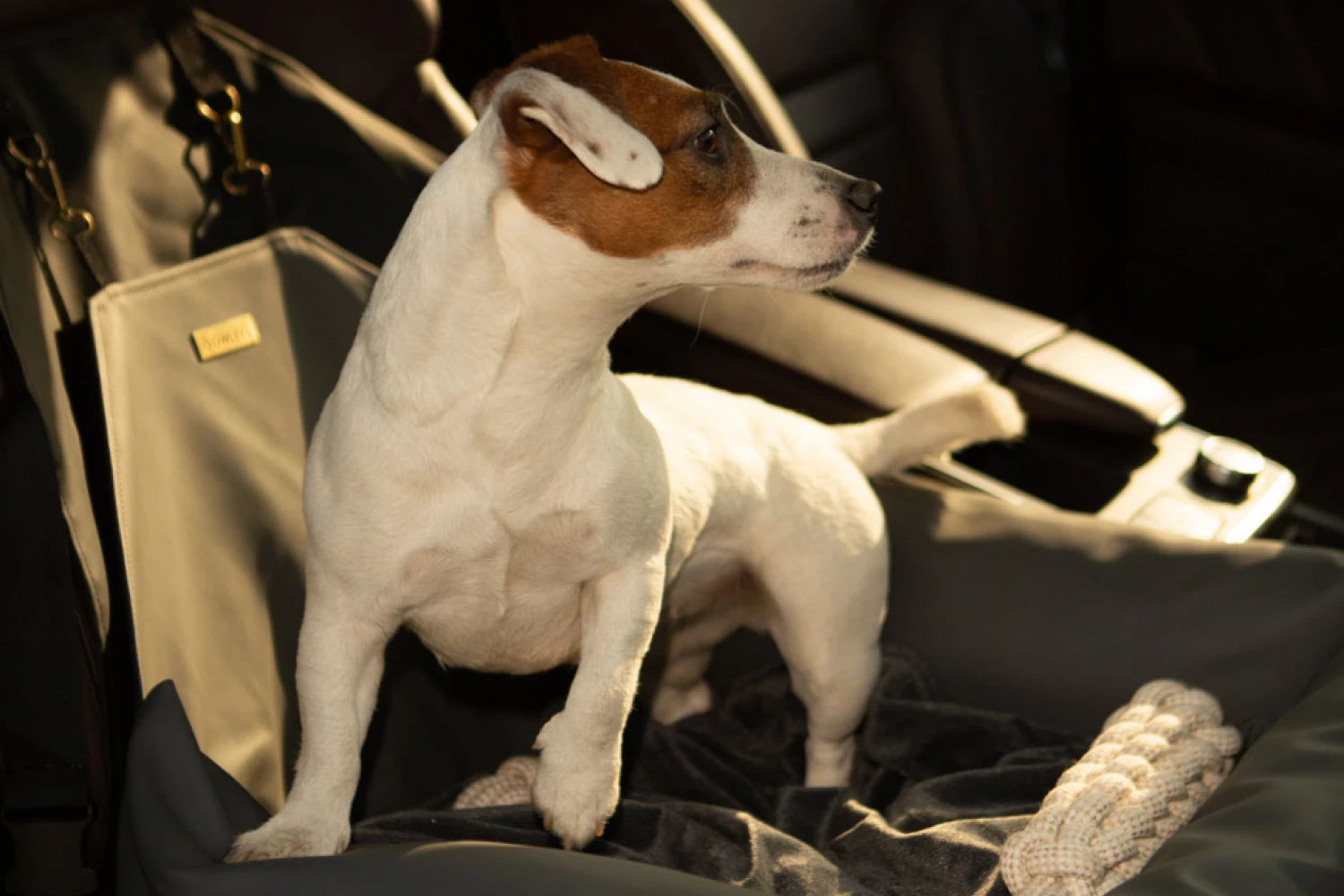 Dodge Durango Dog Car Seat for West Highland White Terriers